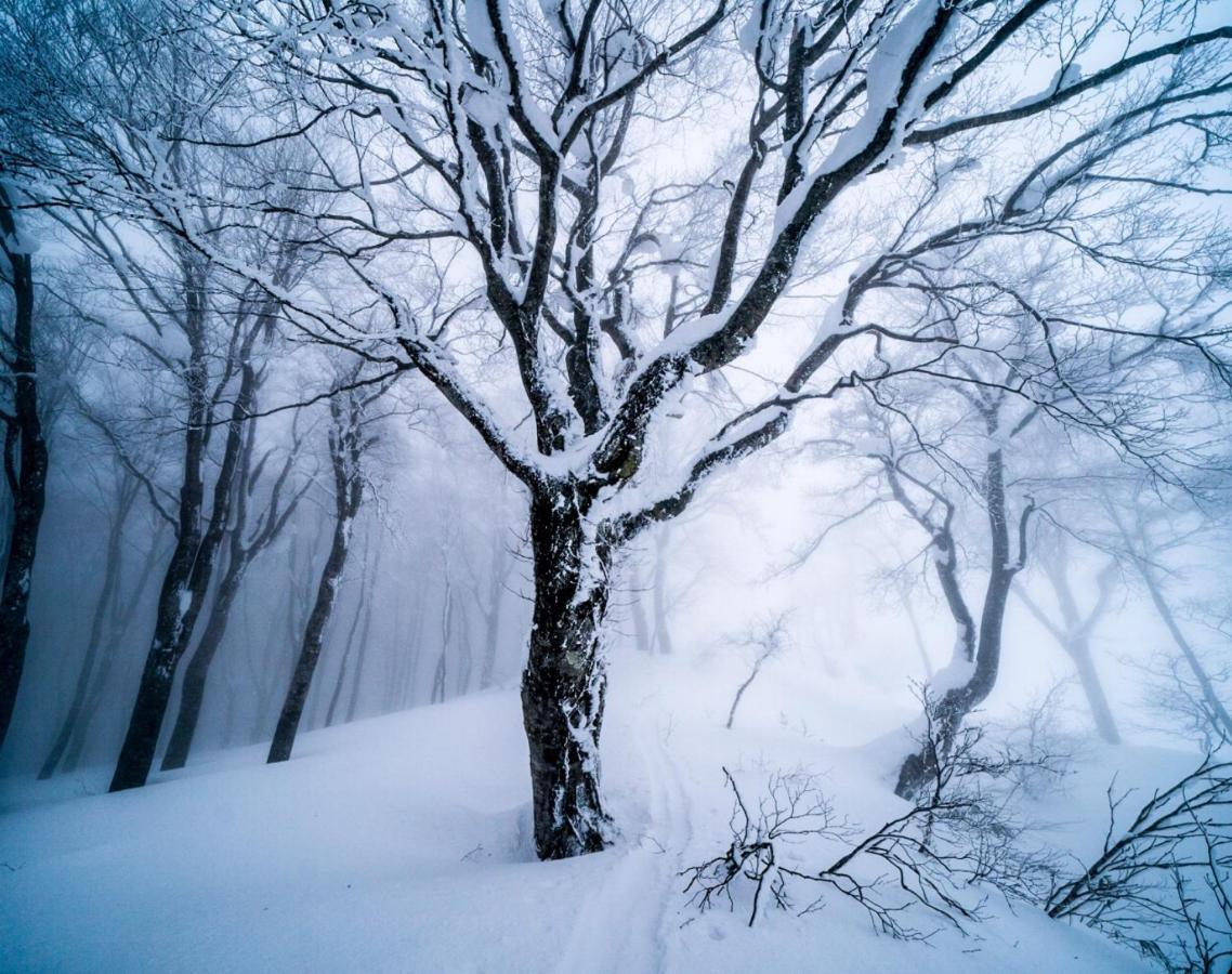 The Joint Bed & Breakfast Hakuba Eksteriør bilde